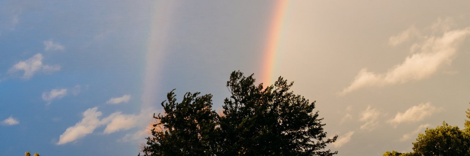 cassbrower's profile banner image