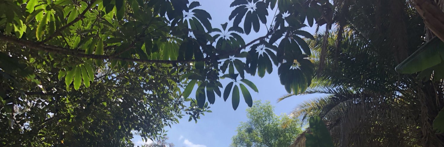 NELLIBEANS's profile banner image