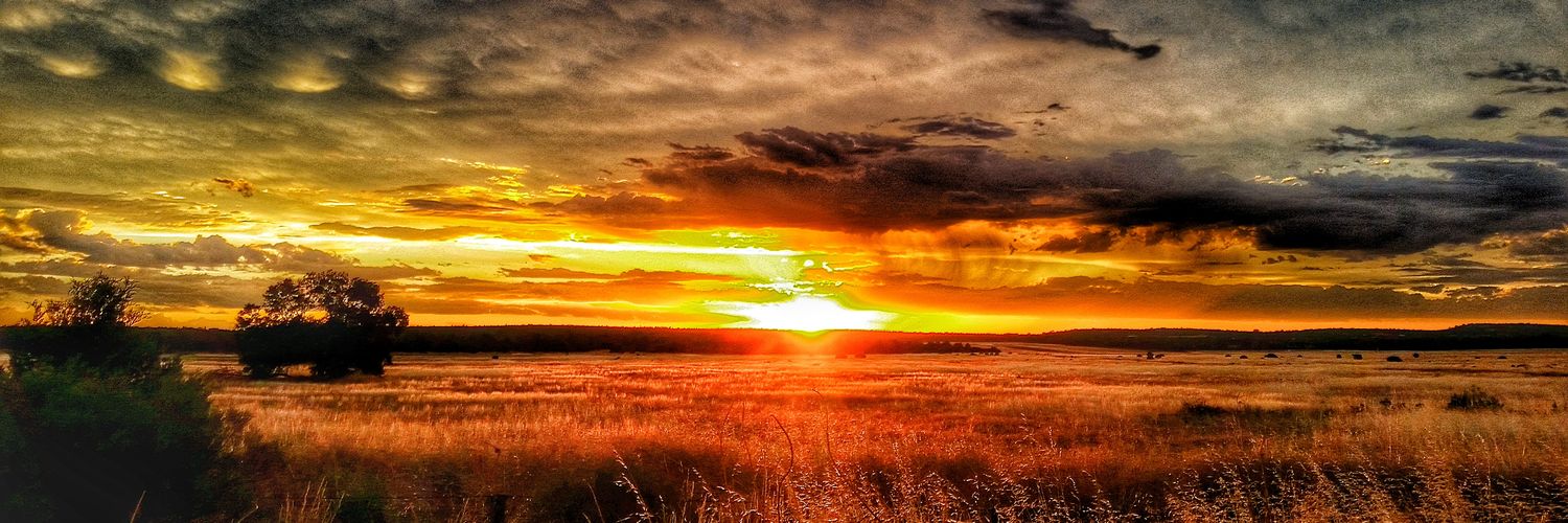 StephenVioli's profile banner image