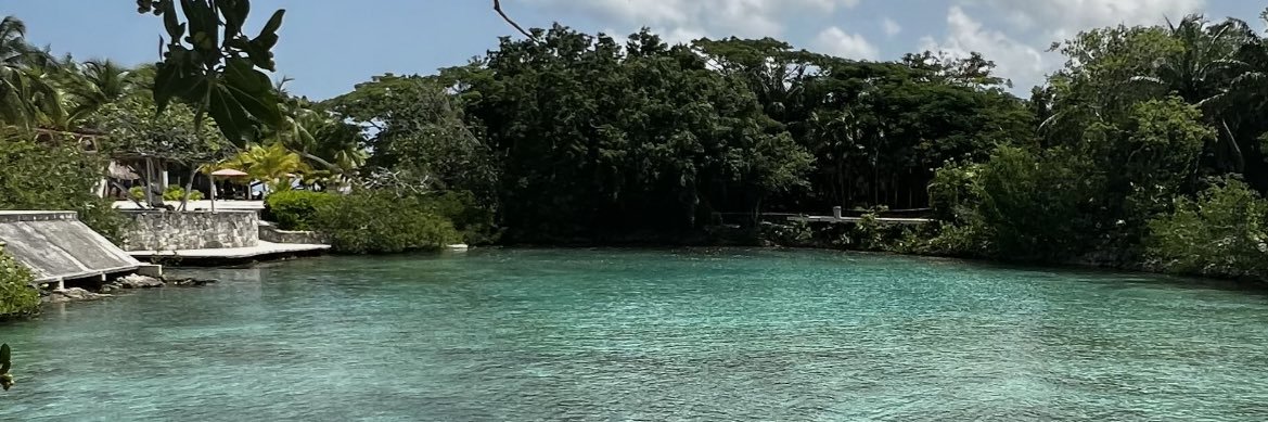 rodrigogart's profile banner image