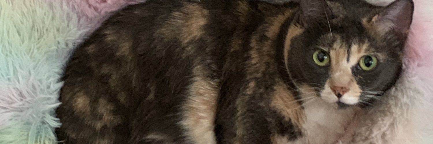 EmilyMCrowley's profile banner image