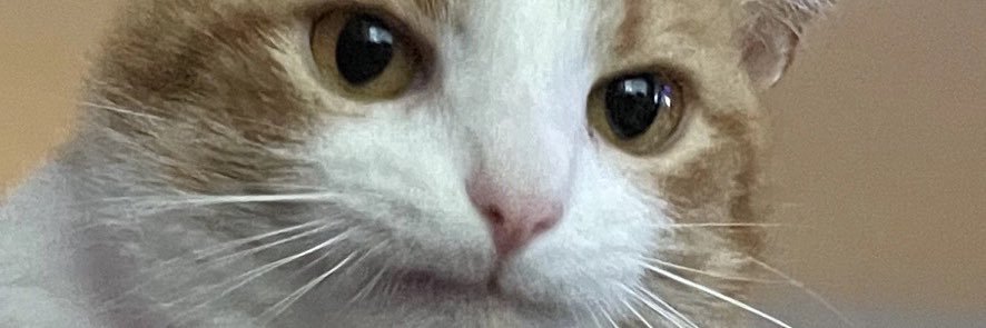joxbelle's profile banner image