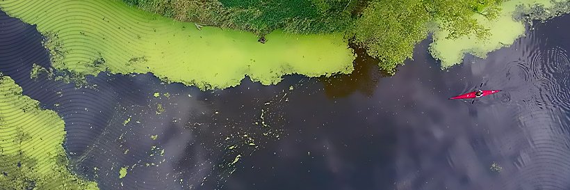 Vendi banner