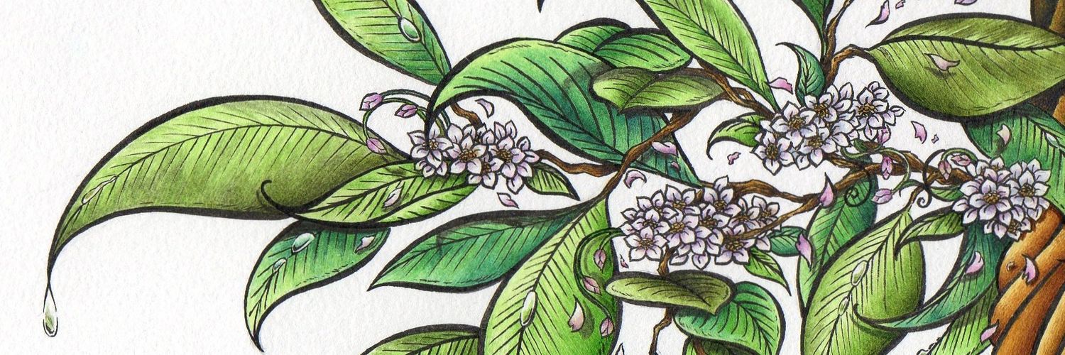 BerryNiceShady's profile banner image