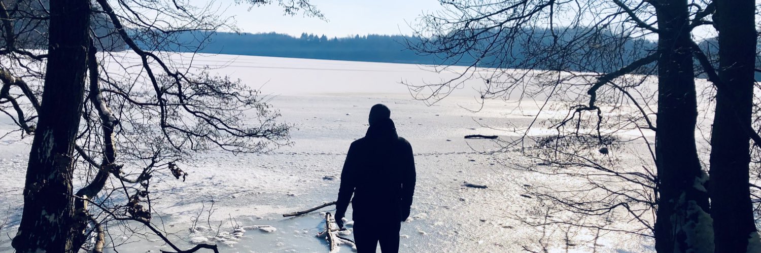 GerBrain_'s profile banner image