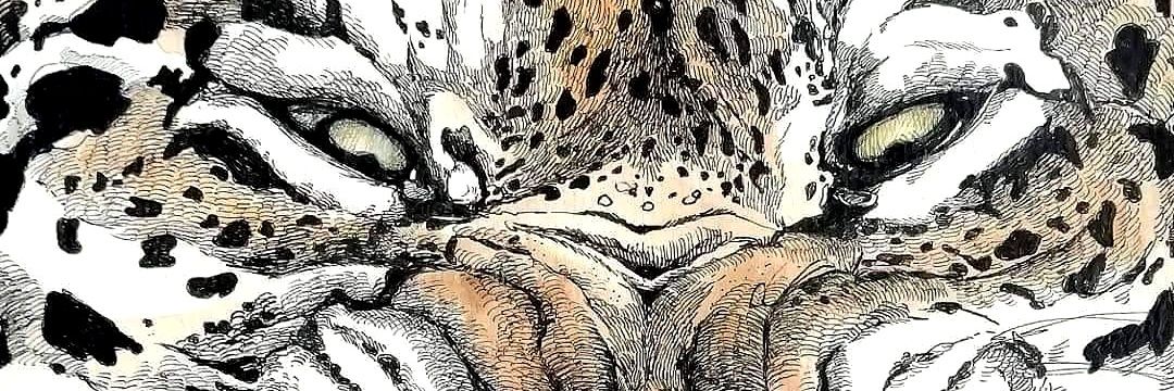 Danicocoramon's profile banner image