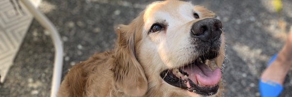 spatrick_oc Profile Banner