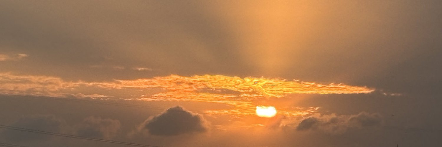 kingjoeo's profile banner image