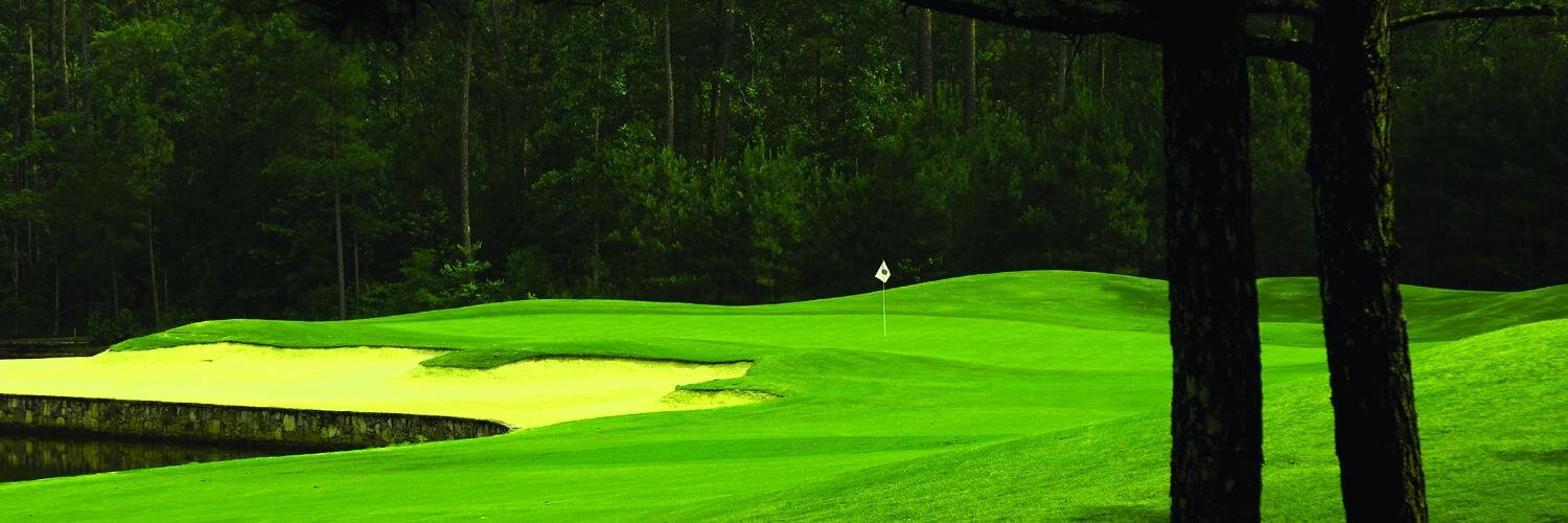 Stonebridge Golf banner