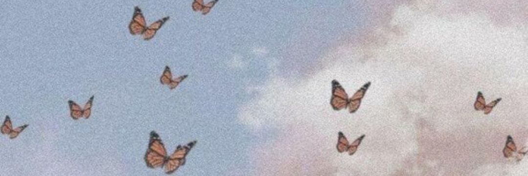edaekrii's profile banner image