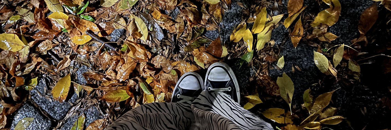 cam1699's profile banner image