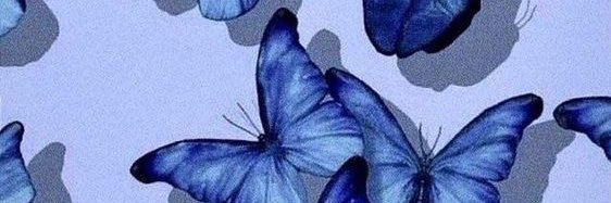 justzarmina's profile banner image