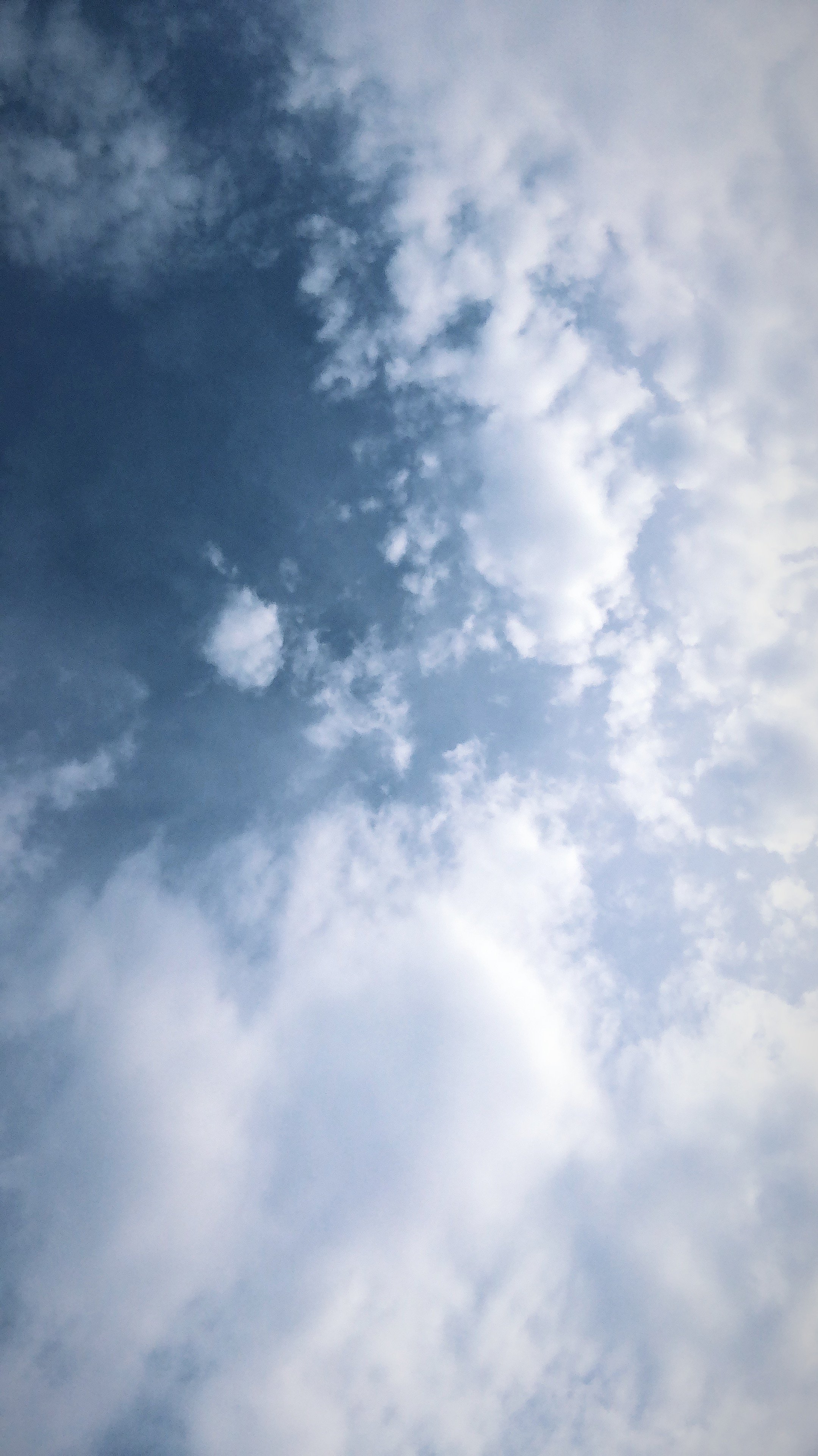 floorpasschier's profile banner image
