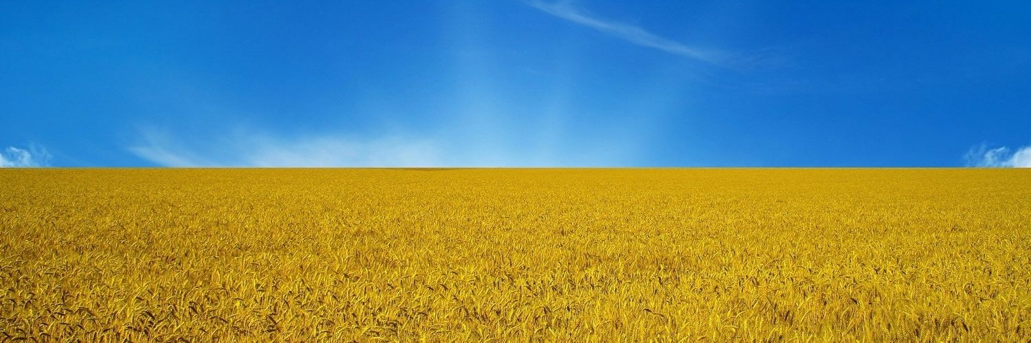 Bosnoslav's profile banner image