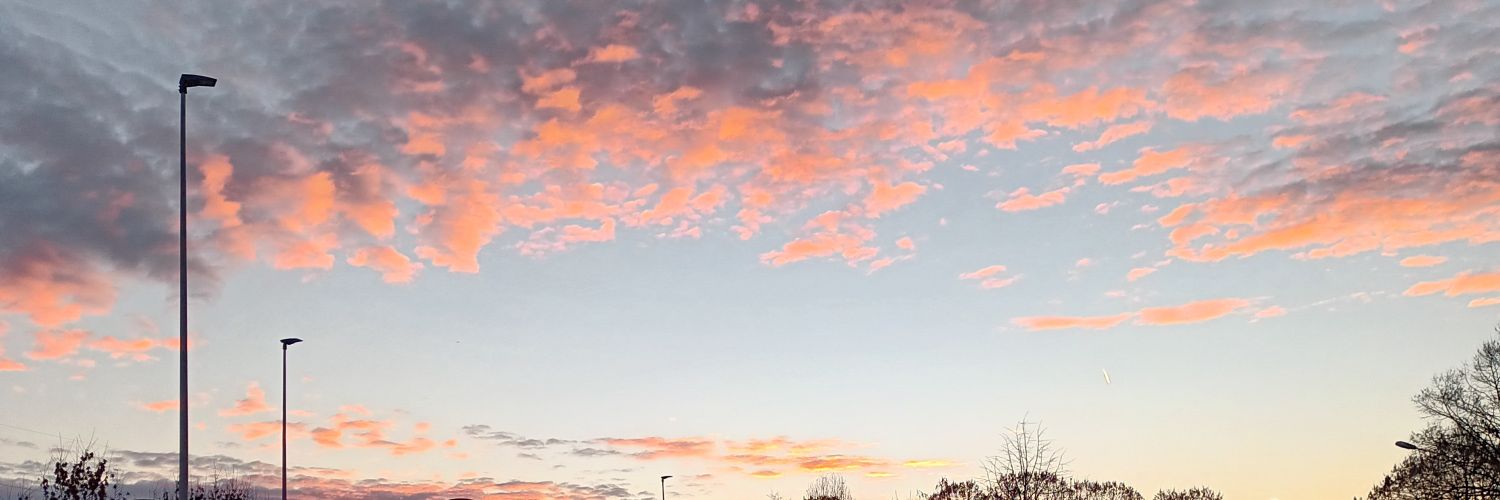 lobers91's profile banner image