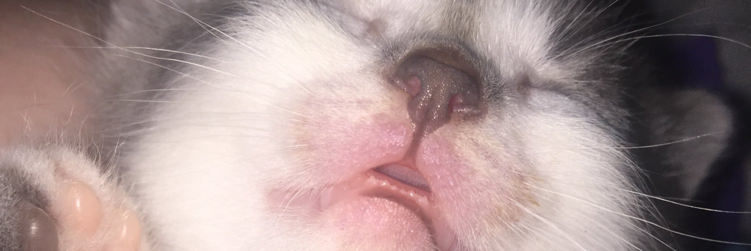 tgisteph's profile banner image