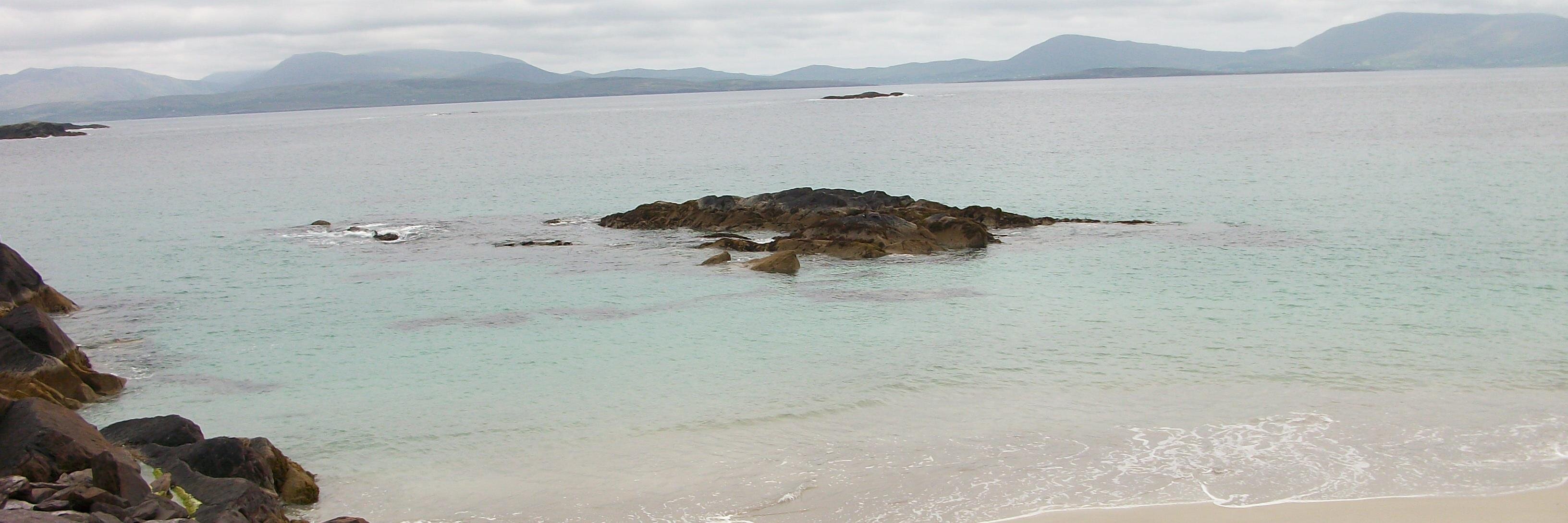 _caroline_boyle's profile banner image