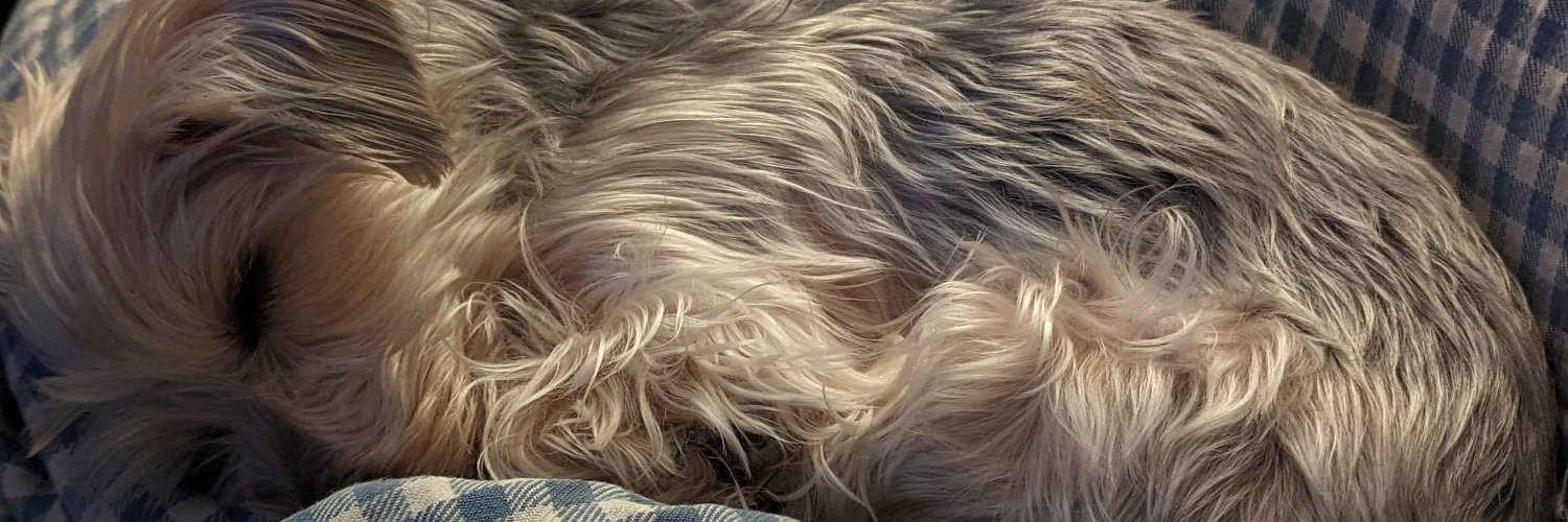 M O D E _ R E D | (⌐◍_◍) @ City of the Ancients banner