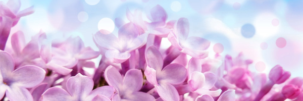 dr_sundus_ Profile Banner