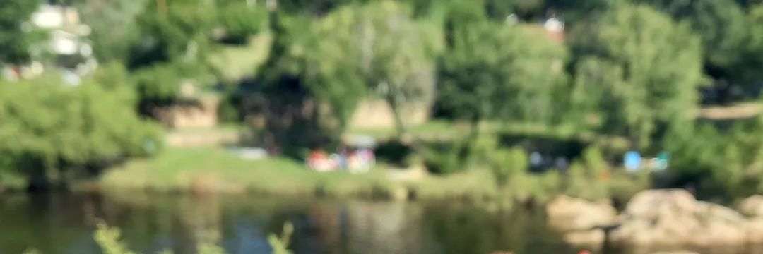 Nanuferreyra's profile banner image