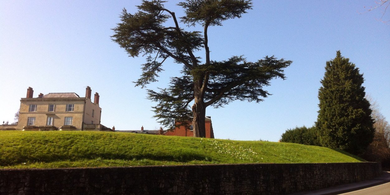 Perumal Nithiarasu banner