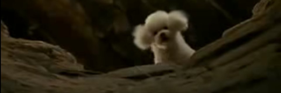 M banner