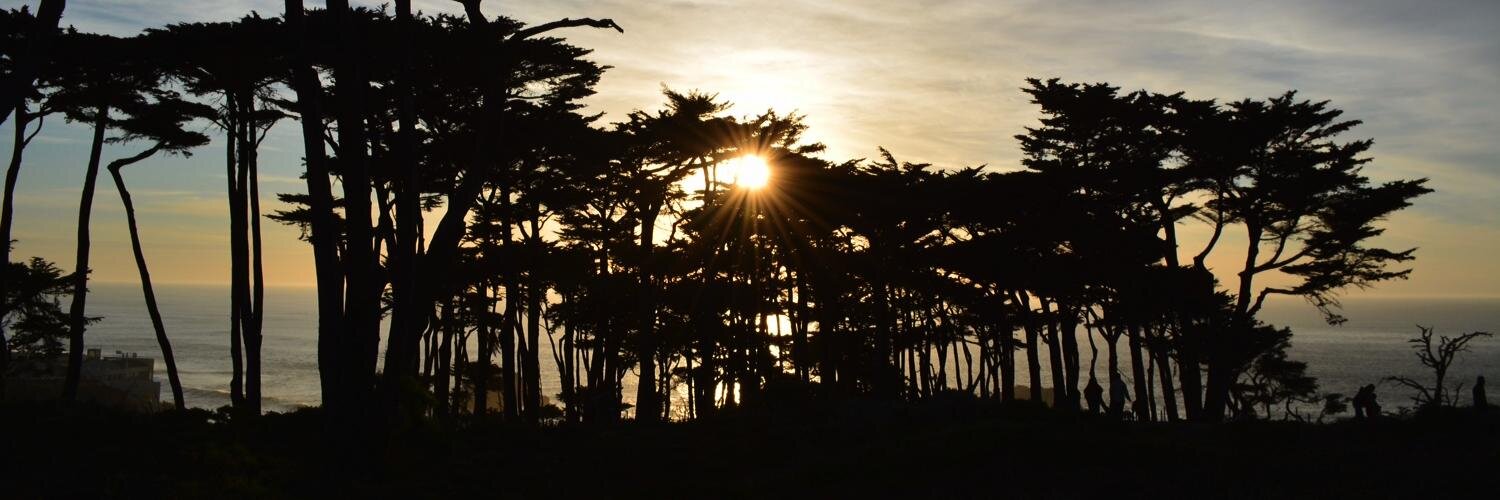 UCSF_VAChiefs's profile banner image