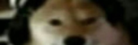 ZacDozza's profile banner image