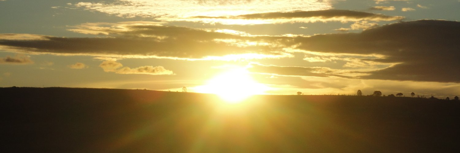 wdmeida's profile banner image