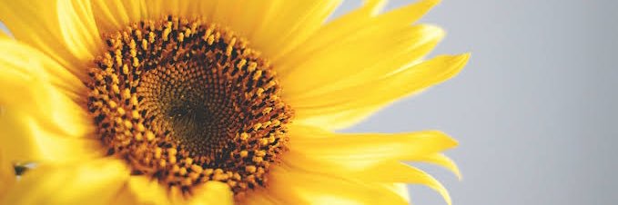 Jo 🌏💧 Yes 🌱💦 banner