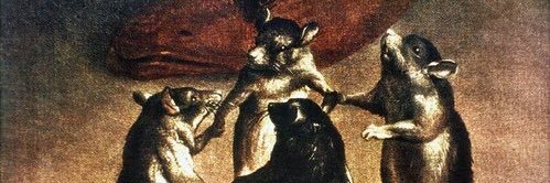 Marwadd's profile banner image