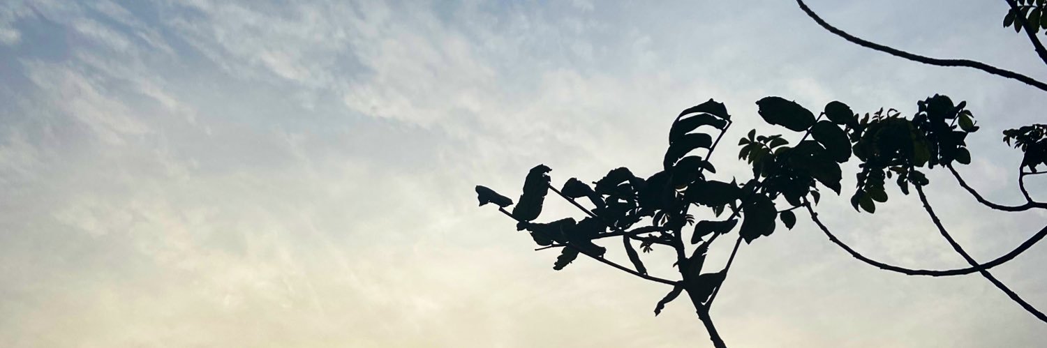 uree822's profile banner image