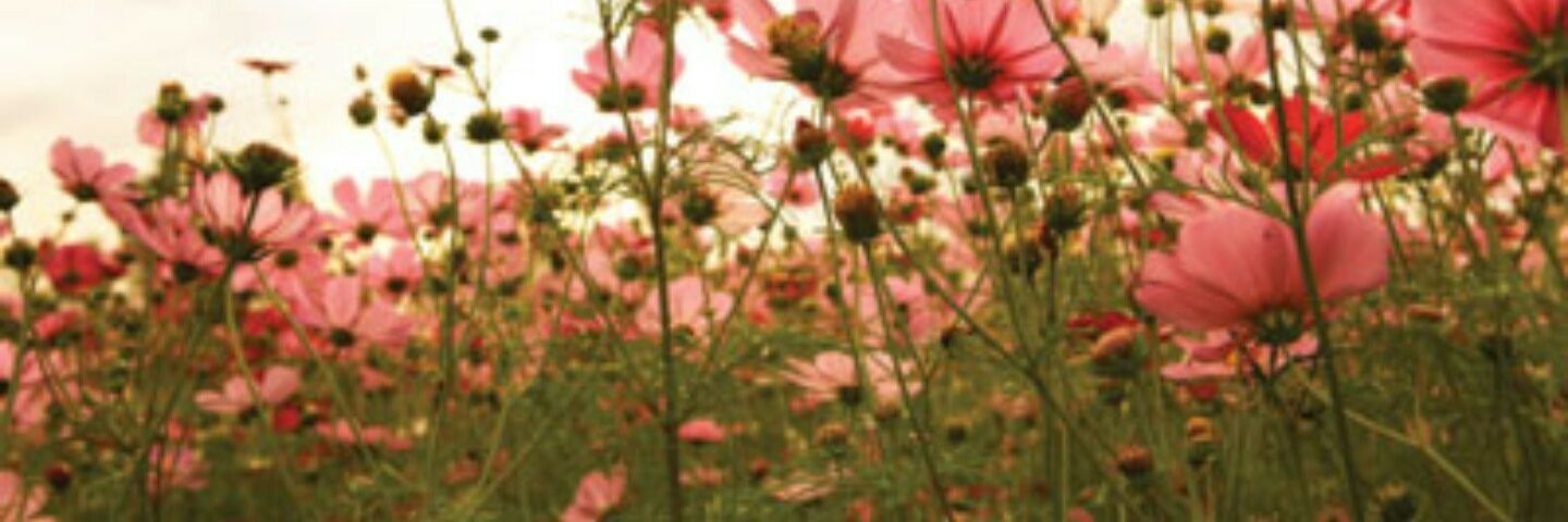 tyako9477's profile banner image