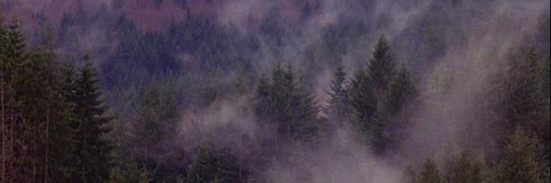 Fire Talk With Me banner