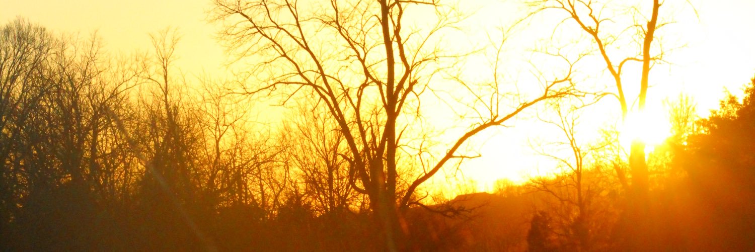 nutilla46's profile banner image