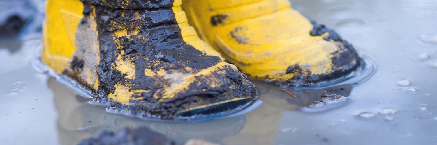 john prockter banner