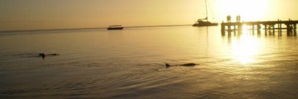 Clayts88 Profile Banner