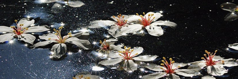 𝔐𝔦𝔩𝔞𝔫 banner