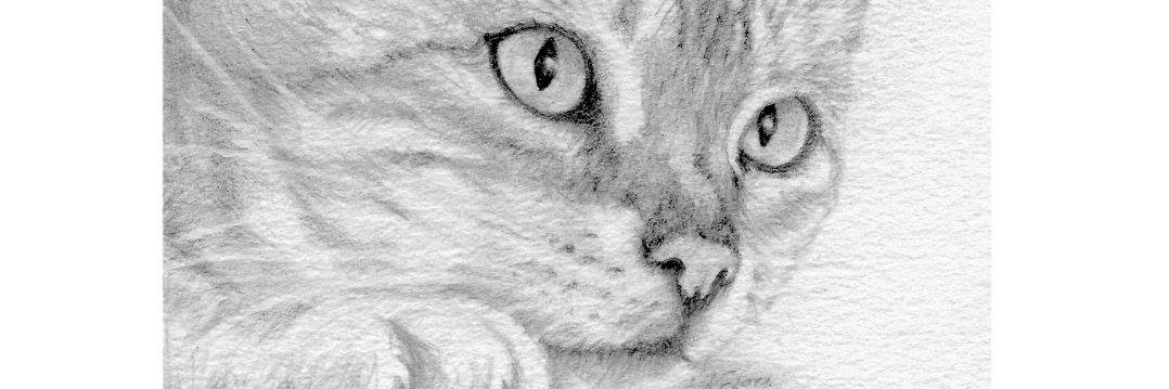 NeliArt's profile banner image