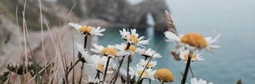 Agus_Quinteros1's profile banner image