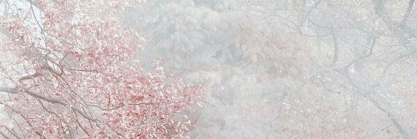 ader80700's profile banner image