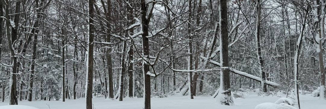 Federico Pascual🇵🇭 banner