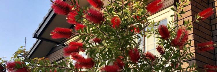 rendy6143's profile banner image