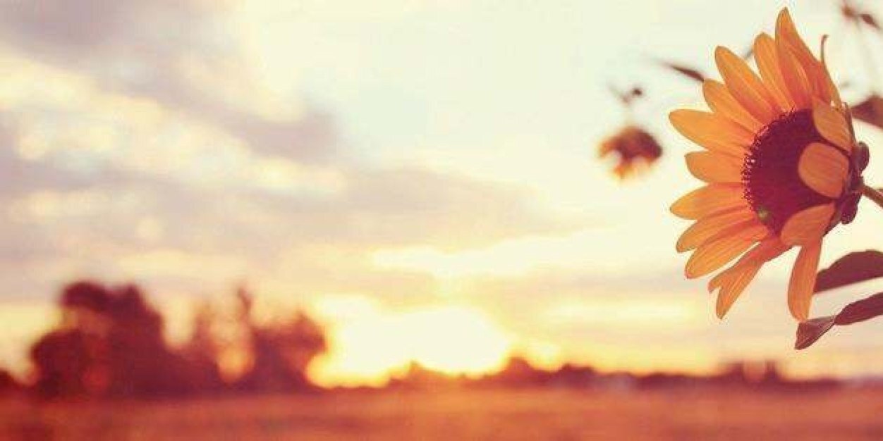 Jacebabay's profile banner image