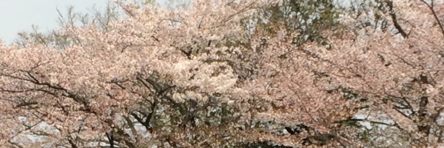 むぎ banner