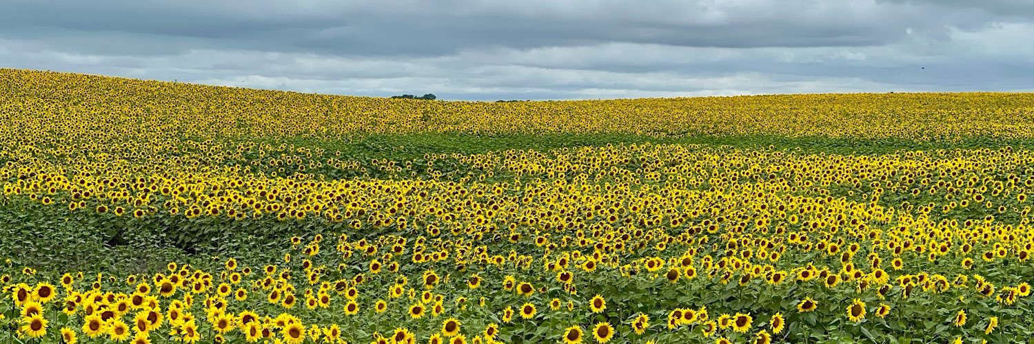 traceyupnorth's profile banner image