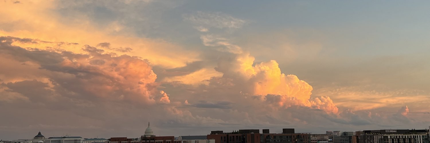 Stephanie Ricker banner