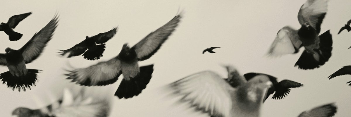 killmeplz111's profile banner image