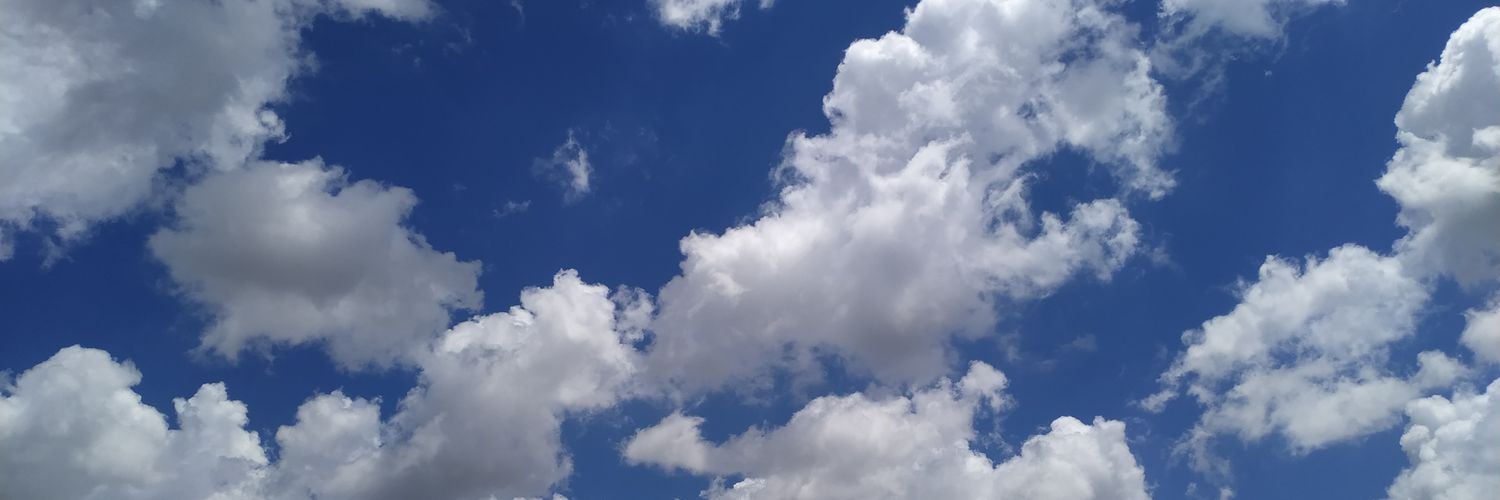 fernandasdesa's profile banner image