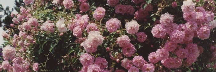 TitleWordSmith's profile banner image